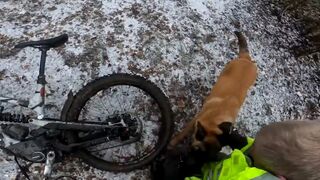 A Peaceful Bike Ride Ruined by Dog Attack. Owners Cannot Control Them