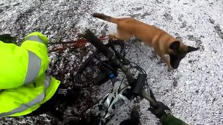 A Peaceful Bike Ride Ruined by Dog Attack. Owners Cannot Control Them