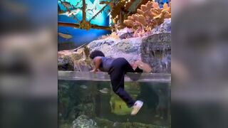 Genius Jumps into Giant Aquarium and Finds Out