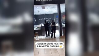 Mall Jewelry Store "Heist" interrupted by Security and Police