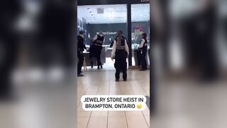 Mall Jewelry Store "Heist" interrupted by Security and Police