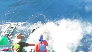 Great White Shark goes Nuts and Gets Out of Cage....With a Diver Inside also