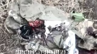 Russia-Ukraine. Soldier tries Hiding and Covering Up but is Pounded to his Last Breath by Dropped bombs