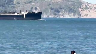 Windsurfer crashing into whale in SF Bay