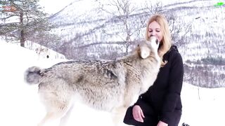 Blonde with Balls of Steel Open Mouth Kisses Wild Wolves