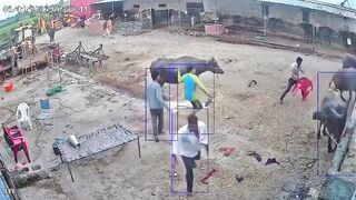 A single dog attacked and bit multiple youths in under 30 seconds