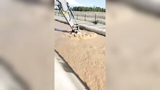 Happy Sunday! Crane Operator Saves a Calf from Drowning