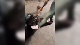 Dog Abuser Brutally Pulled back and forth on a Collar. What is your opinion on this?