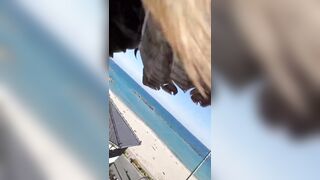 Bird had other Plans