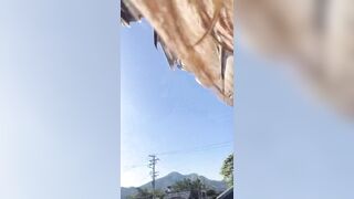 Bird had other Plans