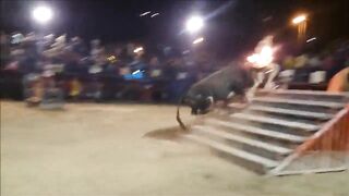 Man Provokes a Bull with Flaming Horns, and Finds Out