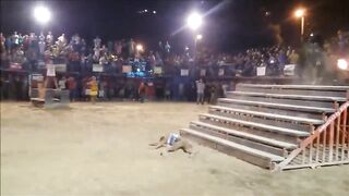 Man Provokes a Bull with Flaming Horns, and Finds Out