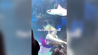 Ok the Farting Mermaid Viral Video