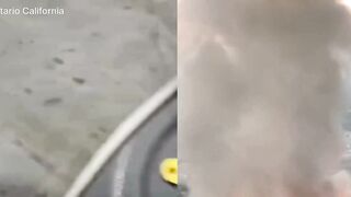 Americans are sick of everything! Chaos as an employee starts a massive fire inside a 1.2 million square foot warehouse filming himself on Instagram as he sets toilet paper packages ablaze