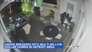 Gangs are Now Breaking into Million Dollar Homes All Over America - Using WI-FI Jammers to Disable Cameras