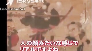 Who were the Tengu?