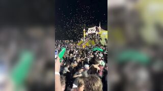 Swampfest looks a little wild