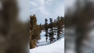 Ski Park gets a Grizzly Surprise out of Nowhere