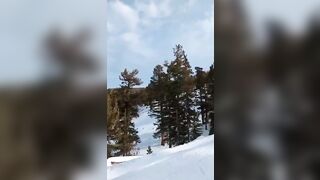 Ski Park gets a Grizzly Surprise out of Nowhere