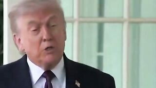 There are only 3 options here.