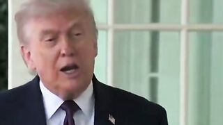 There are only 3 options here.