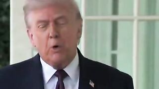 There are only 3 options here.