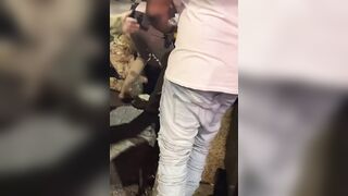 Content Creator "South Memphis HypeMan" Tackled By National Guards