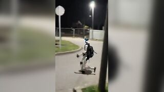 Robot Chasing Wild Boars