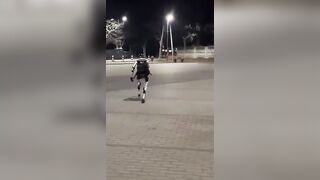 Robot Chasing Wild Boars