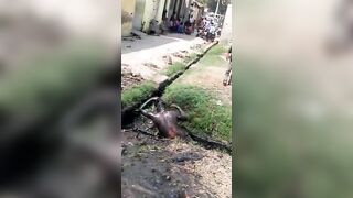 Events and Things to do in India this weekend