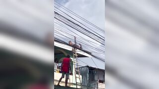 Gotta be an Easier Way than Ending Life by Power Lines