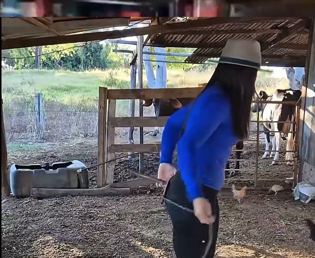 this is actually pretty genius. Just wait for it. Great way to use that booty