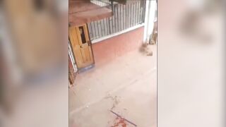 Watch the Woman in Black trying to Break into House....Throat was Slit, Died from Blood Loss