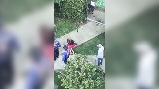 Colombia, Woman was Brutally Attacked by Neighborhood Pitbull. The pain she must be in