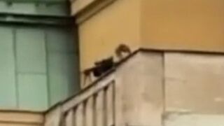Shocking Footage from the Gunman on a Rooftop in Prague Shooting Several Students. (15 Dead)