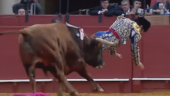 Bullfighter Morante de la Puebla suffers a 10 cm goring with rectal perforation