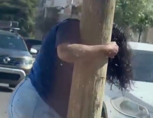 A 59-year-old woman suffered nearly 200 stings after a bee attack in the Pemex neighborhood of Culiacán