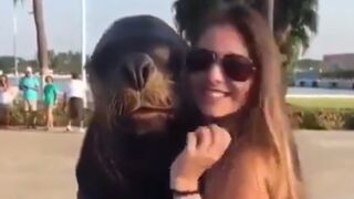 Yep that's a Seal and it's Got Game