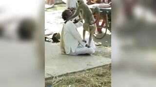 Now this Monkey Removes Part of his Scalp so He will Never Forget Him (Watch Slow Motion)