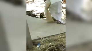 Now this Monkey Removes Part of his Scalp so He will Never Forget Him (Watch Slow Motion)
