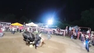 Bull absolutely Massacre Rider in Mexico