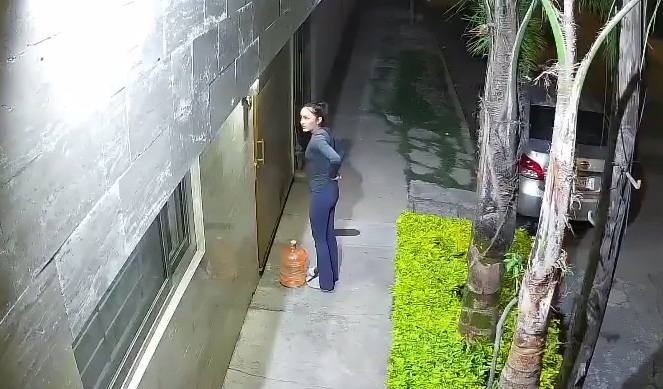 Woman entering her home is quickly sexually assaulted by scumbag