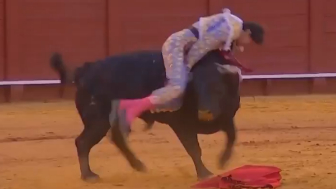 Bullfighter 'seriously gored' during Seville event