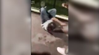 Man Abusing his Dog gets Karma. He is Dragged like a Dog by Gang
