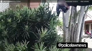 This is why police officers need to pull their guns quicker & far more often.