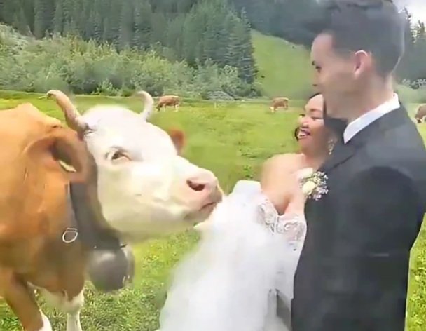 This is good: When wildlife gives you their blessing