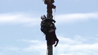 ALERT: Helicopter rescues a tree trimmer from the top of a tree after he suffers a me
