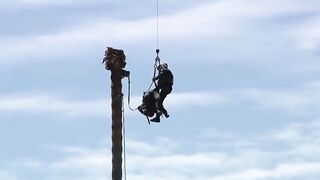 ALERT: Helicopter rescues a tree trimmer from the top of a tree after he suffers a me