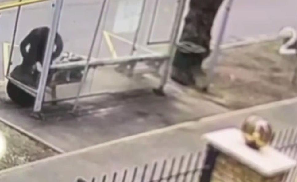 Tough Guy beats an Elderly Woman to near Death at the Bus Stop