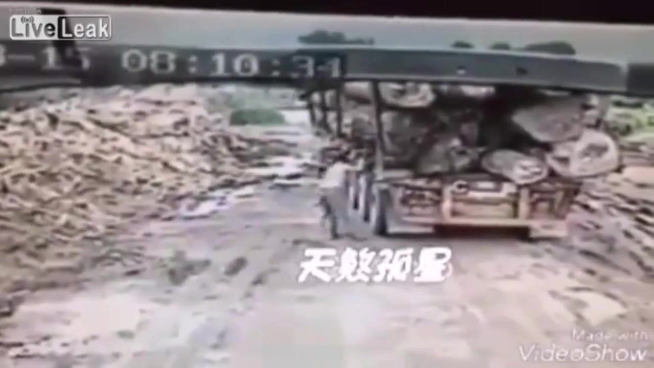 It's log - It's log - It's big, it's heavy, it's wood!